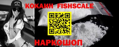крисы Заводоуковск