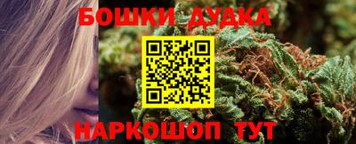 крисы Заводоуковск
