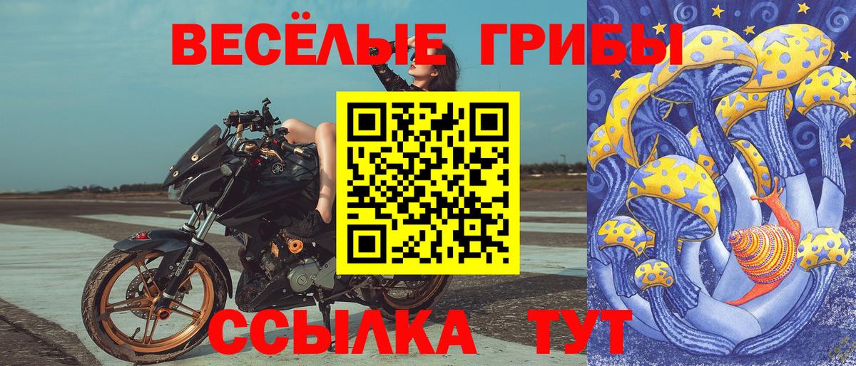 Майский  Галлюциногенные грибы Cubensis  купить наркотики сайты  Вход с VPN 
